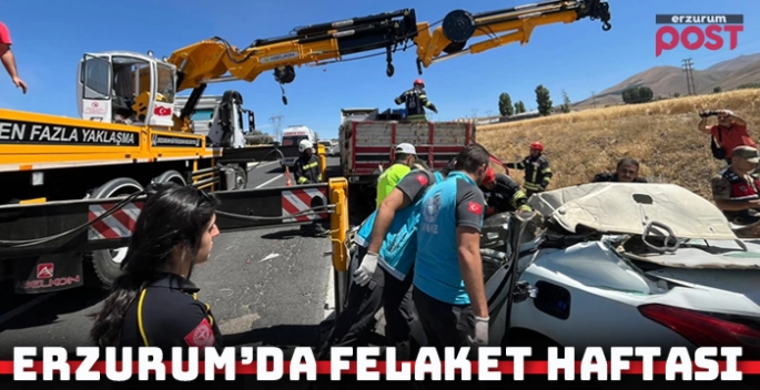 Acı bilanço; Erzurum'da felaket haftası!