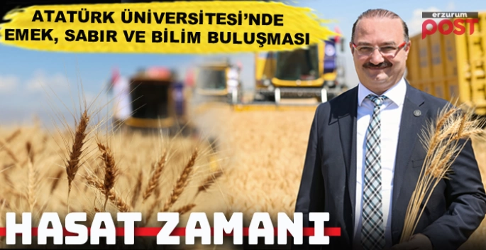 Atatürk Üniversitesinde hasat zamanı