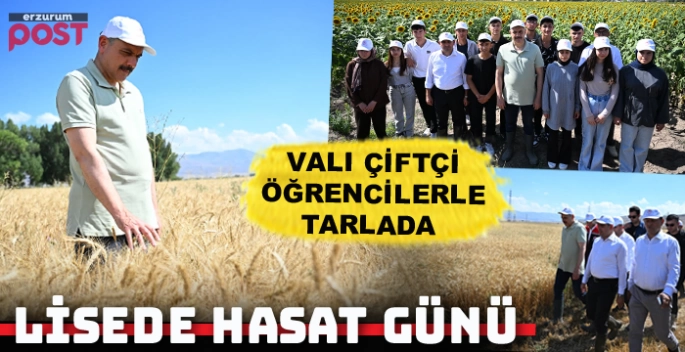  Aziziye Tarım Lisesi'nde buğday hasadı yapıldı