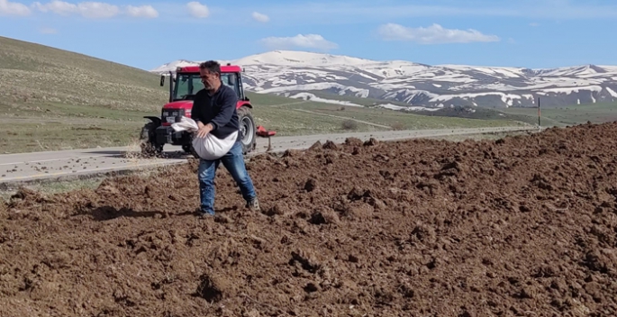 Bahar geldi tohum toprak ile buluştu