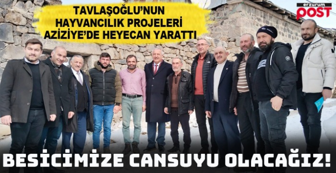 Tavlaşoğlu'nun Hayvancılık Projeleri Aziziye'de heyecan yarattı