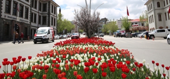 Büyükşehir’den Erzurum’a estetik dokunuş