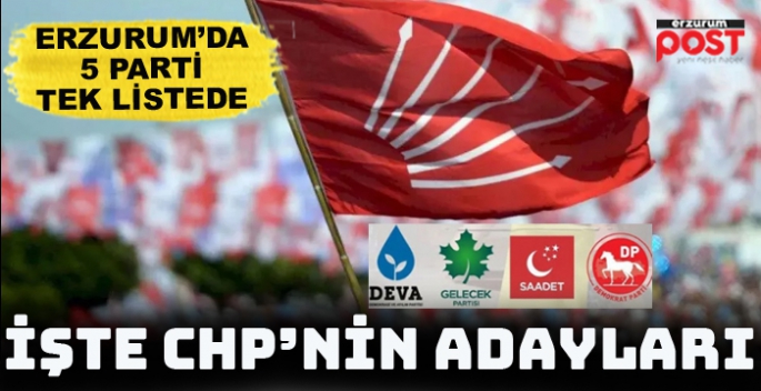 CHP milletvekili aday listesi belli oldu