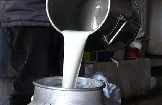 Çiğ süt fiyatı 1 Ağustos’tan İtibaren 18,35 TL