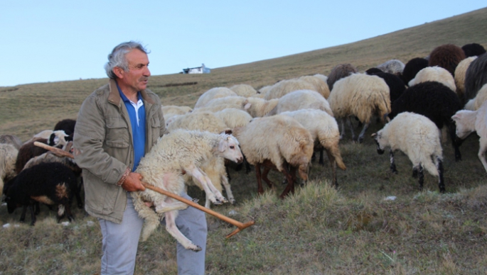 Çoban üretim için yol istedi