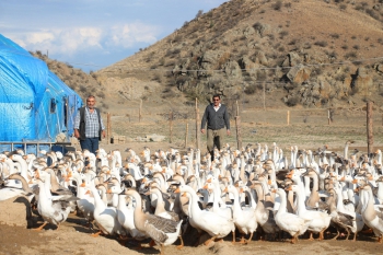 Emekli oldu 'Kaz Çiftliği' kurdular!