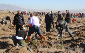 Erzurum’da 12 bin fidan toprakla buluştu