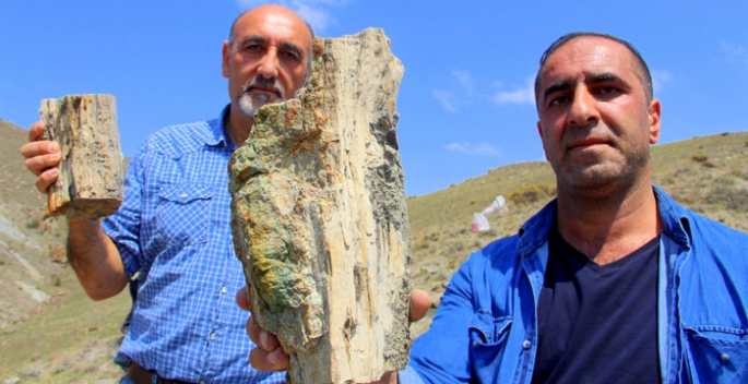 Erzurum'da 160 milyon yıllık keşif