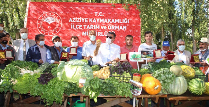 Erzurum'da 30 seradan 1.5 milyon liralık gelir