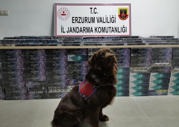 Erzurum'da 5 bin 200 paket kaçak sigara ele geçirildi