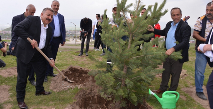 Erzurum'da 7’den 70’e herkes fidan dikti