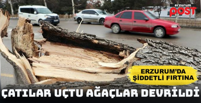 Erzurum'da fırtına çatıları uçurdu, ağaçları devirdi