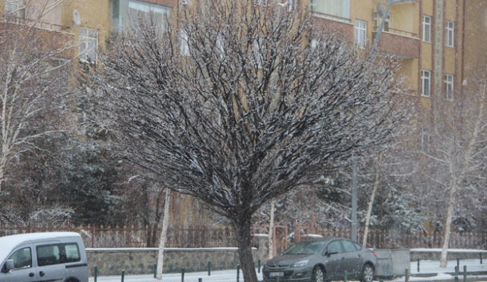 Erzurum'da kar yağışı etkili oluyor