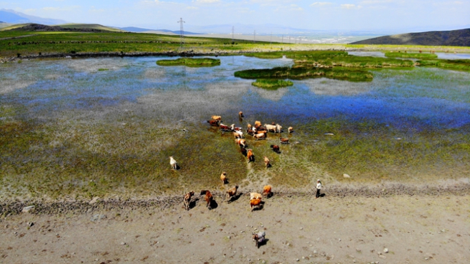 Erzurum'da kuraklık hat safhada, göller bir bir kuruyor