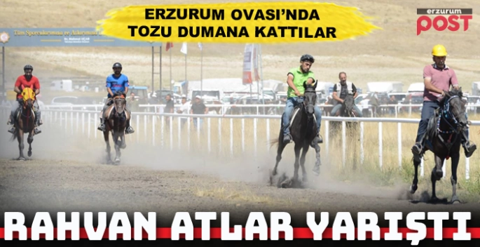 Erzurum’da rahvan atlar tozu dumana kattı