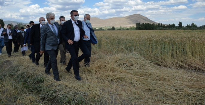 Erzurum’da ‘Tarla Günü’ etkinliği düzenlendi