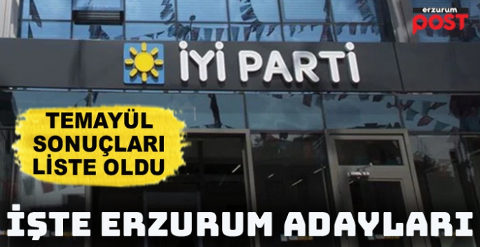 İşte İYİ Parti'nin milletvekili aday listesi