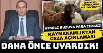 Karayazı Kaymakamlığı’ndan çobana ceza açıklaması