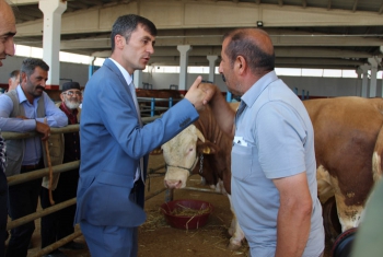 Kurban satıcılarının arefe günü umudu