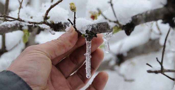 Meteoroloji'den 6 il için zirai don uyarısı