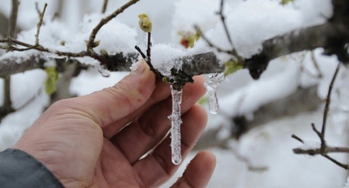 Meteorolojiden zirai don uyarısı