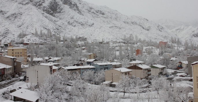 Oltu'da meyve ağaçları kar altında kaldı