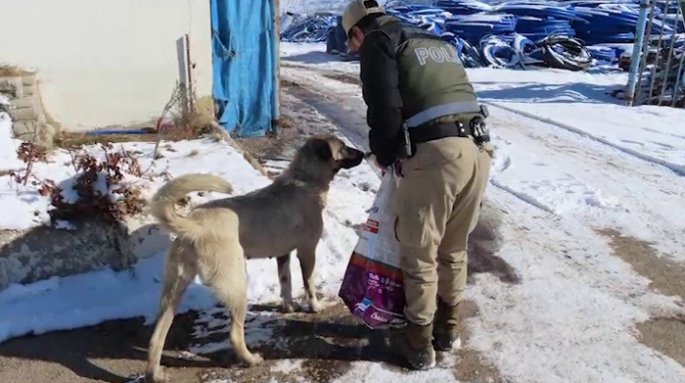 Polis ekipleri yaban hayvanlarını unutmadı