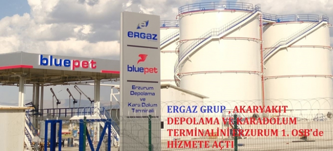 Türkiye Ekonomisine Ergaz enerjisi