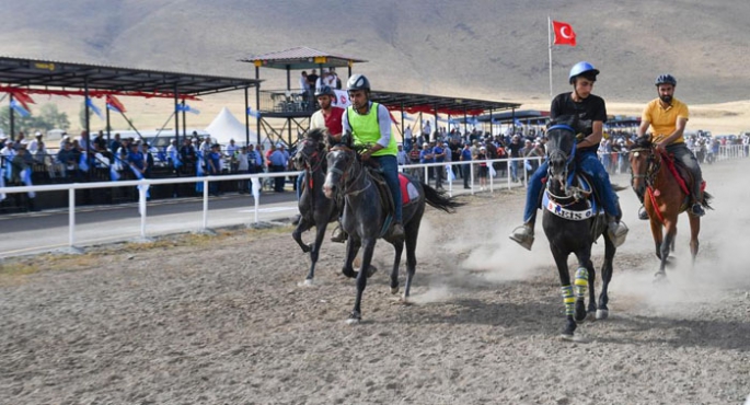 Türkiye'nin dört bir yanından gelen rahvan atlar Erzurum'da yarıştı