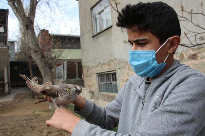 Yaralı atmacaya sahip çıktı, tedavi ettirip doğaya saldı